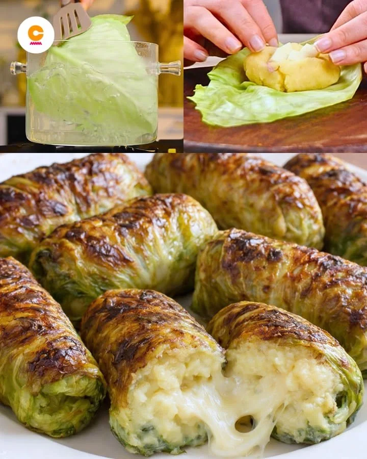 Involtini di Verza Filanti