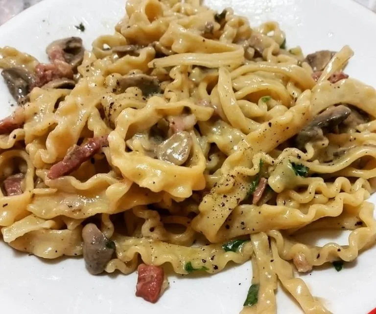 Mafaldine con crema di funghi e pancetta servite in un piatto elegante